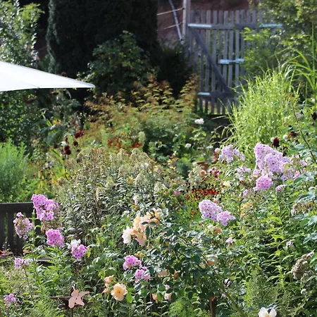 The Moosbach Garden Country house Nordrach