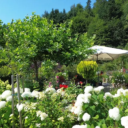 The Moosbach Garden Kır Evi