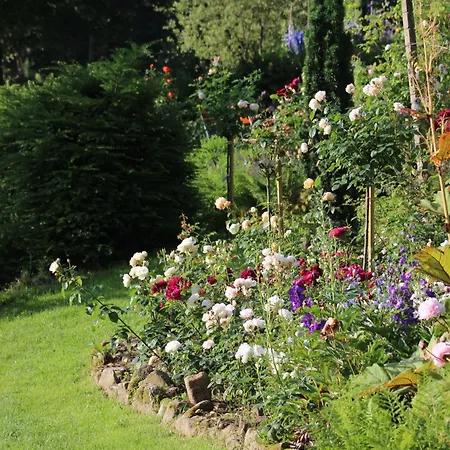 The Moosbach Garden * Nordrach