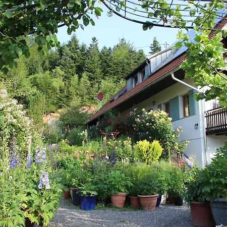 The Moosbach Garden * Nordrach