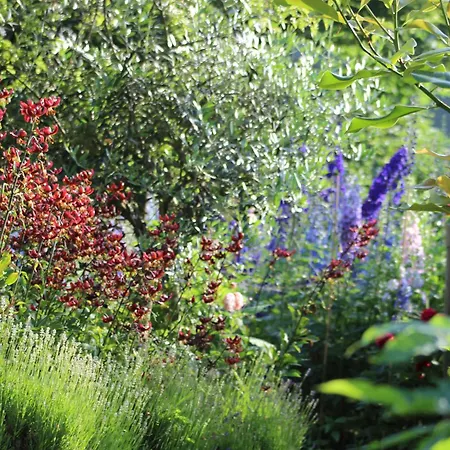 Kır Evi The Moosbach Garden