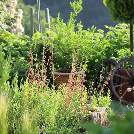 The Moosbach Garden Kır Evi Nordrach