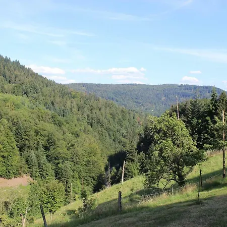 Kır Evi The Moosbach Garden Nordrach